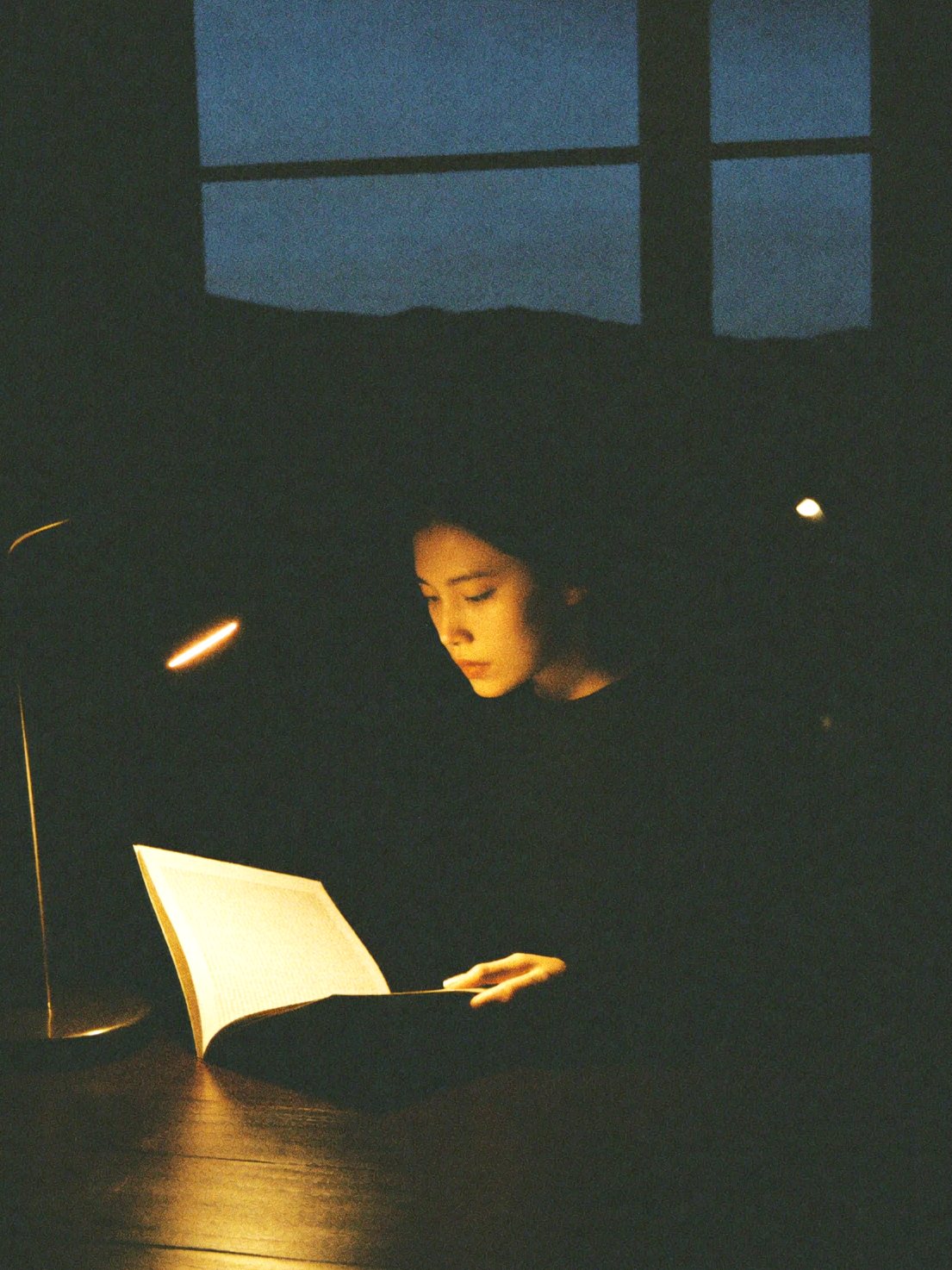 A woman reading by lamplight at night, mountains faintly visible through the window behind her